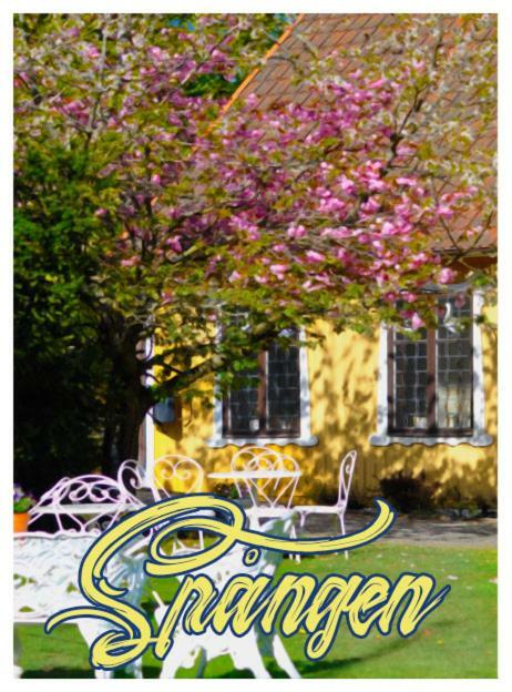 Spangens Gaestgivaregard Inn Ljungbyhed Exterior photo